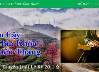 Tin Cậy – Chìa Khóa Chiến Thắng – 11/2/2023