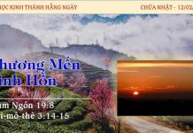 Thương Mến Linh Hồn – 12/2/2023