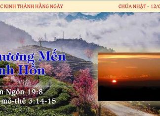 Thương Mến Linh Hồn – 12/2/2023