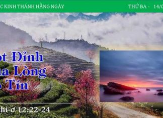 Tột Đỉnh Của Lòng Vô Tín – 14/2/2023