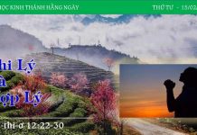 Phi Lý Và Hợp Lý – 15/2/2023