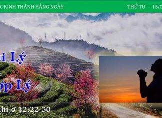 Phi Lý Và Hợp Lý – 15/2/2023