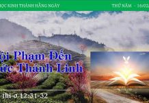 Tội Phạm Đến Đức Thánh Linh – 16/2/2023