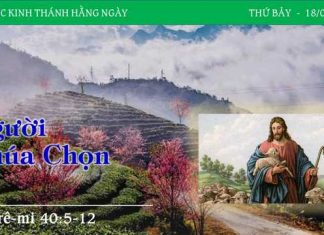 Người Chúa Chọn – 18/2/2023