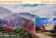Khôn Ngoan Nơi Tòa Án – 19/2/2023
