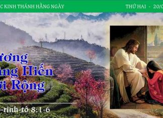 Gương Dâng Hiến Rời Rộng – 20/2/2023