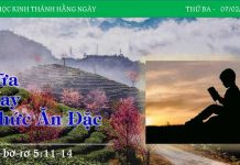 Sữa Hay Thức Ăn Đặc – 7/2/2023
