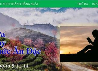 Sữa Hay Thức Ăn Đặc – 7/2/2023