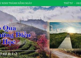 Bỏ Qua Những Điều Sơ Học – 8/2/2023