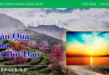 Hậu Quả Của Sự Bội Đạo – 9/2/2023