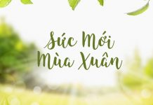 Thơ: Sức Mới Mùa Xuân
