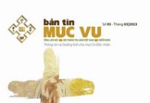 Bản Tin Mục Vụ 93: “Niềm Vui Trong Chúa Phục Sinh”