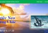 Chiếc Neo Vững Chắc – 13/3/2023