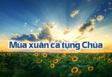 Thơ: Mùa Xuân Ca Tụng Chúa