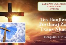 Tes Haujlwm Povthawj Zoo Txaus Nkaus – 15/4/2023