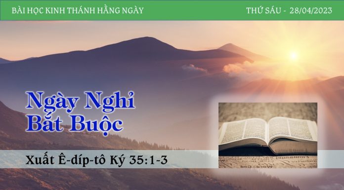Ngày Nghỉ Bắt Buộc – 28/4/2023