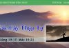 Vác Cây Thập Tự – 6/4/2023