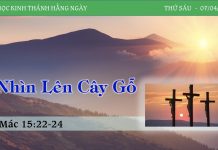 Nhìn Lên Cây Gỗ – 7/4/2023