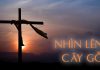 Thơ: Nhìn Lên Cây Gỗ