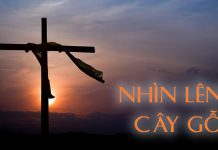 Thơ: Nhìn Lên Cây Gỗ