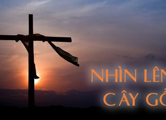 Thơ: Nhìn Lên Cây Gỗ