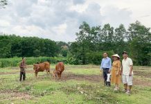 UB YT-XH TLH: Chương Trình “Ngân Hàng Bò” Giúp Đỡ Cho Con Cái Chúa Còn Khó Khăn