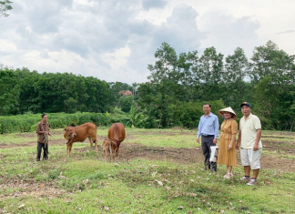 UB YT-XH TLH: Chương Trình “Ngân Hàng Bò” Giúp Đỡ Cho Con Cái Chúa Còn Khó Khăn