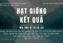 Hạt Giống Kết Quả – 17/5/2023
