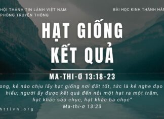 Hạt Giống Kết Quả – 17/5/2023