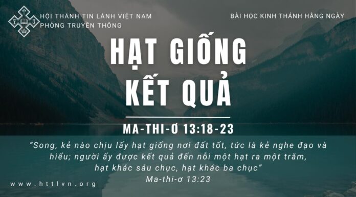 Hạt Giống Kết Quả – 17/5/2023