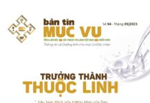 Bản Tin Mục Vụ 94: “Trưởng Thành Thuộc Linh”