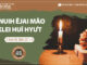 Knuih Êjai Mâo Klei Huĭ Hyưt – 25/5/2023