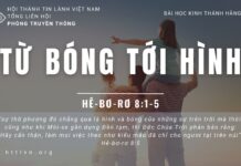 Từ Bóng Tới Hình – 10/6/2023