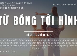 Từ Bóng Tới Hình – 10/6/2023
