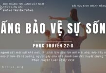 Đấng Bảo Vệ Sự Sống – 14/6/2023