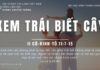 Xem Trái Biết Cây – 22/6/2023