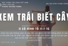 Xem Trái Biết Cây – 22/6/2023