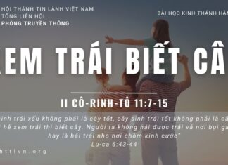 Xem Trái Biết Cây – 22/6/2023