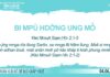 Bi Mpŭ Hdơ̆ng Ung Mô̆ – 4/6/2023