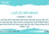 Luă Gŭ Mă Bruă – 23/6/2023