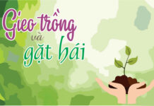 Gieo Trồng và Gặt Hái