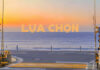 Thơ: Lựa Chọn