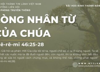 Lòng Nhân Từ Của Chúa – 15/7/2023