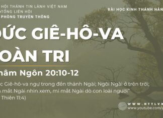 Đức Giê-hô-va Toàn Tri – 16/7/2023