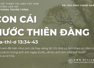Con Cái Nước Thiên Đàng – 21/7/2023