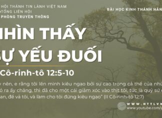 Nhìn Thấy Sự Yếu Đuối – 28/7/2023
