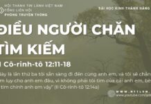 Điều Người Chăn Tìm Kiếm – 29/7/2023