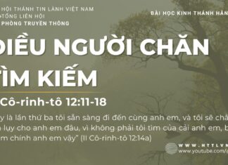 Điều Người Chăn Tìm Kiếm – 29/7/2023