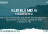 Klei Blŭ Mđĭ Ai – 31/7/2023