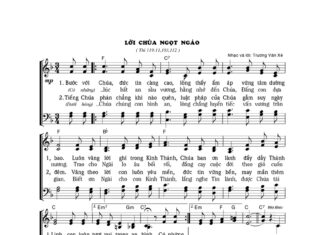 Bài Hát Nhân Ngày Kinh Thánh Của Hội Thánh Tin Lành Việt Nam (13/08/2023)